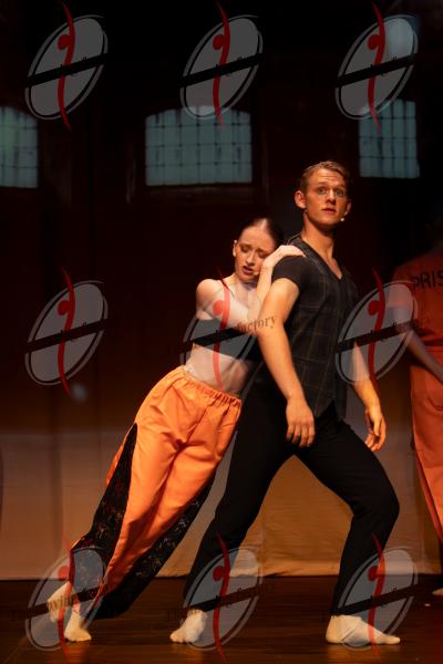 SHOW_02679.jpg